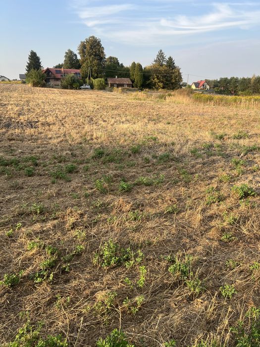 Sprzedam działkę budowlaną 12,11 arów