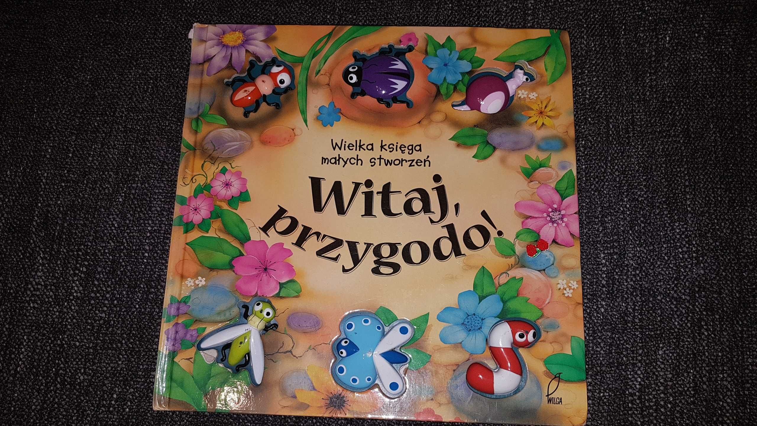 Sue Whiting Witaj przygodo Wielka księga małych stworzeń wypukłe owady