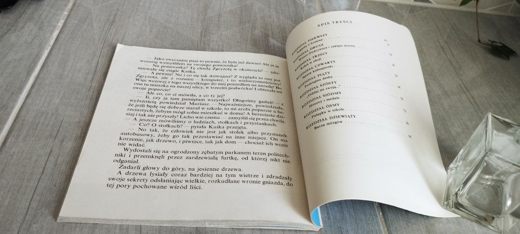 Książka dla dzieci Rokiś i kraina duchów Joanna Papuzińska stan idealn