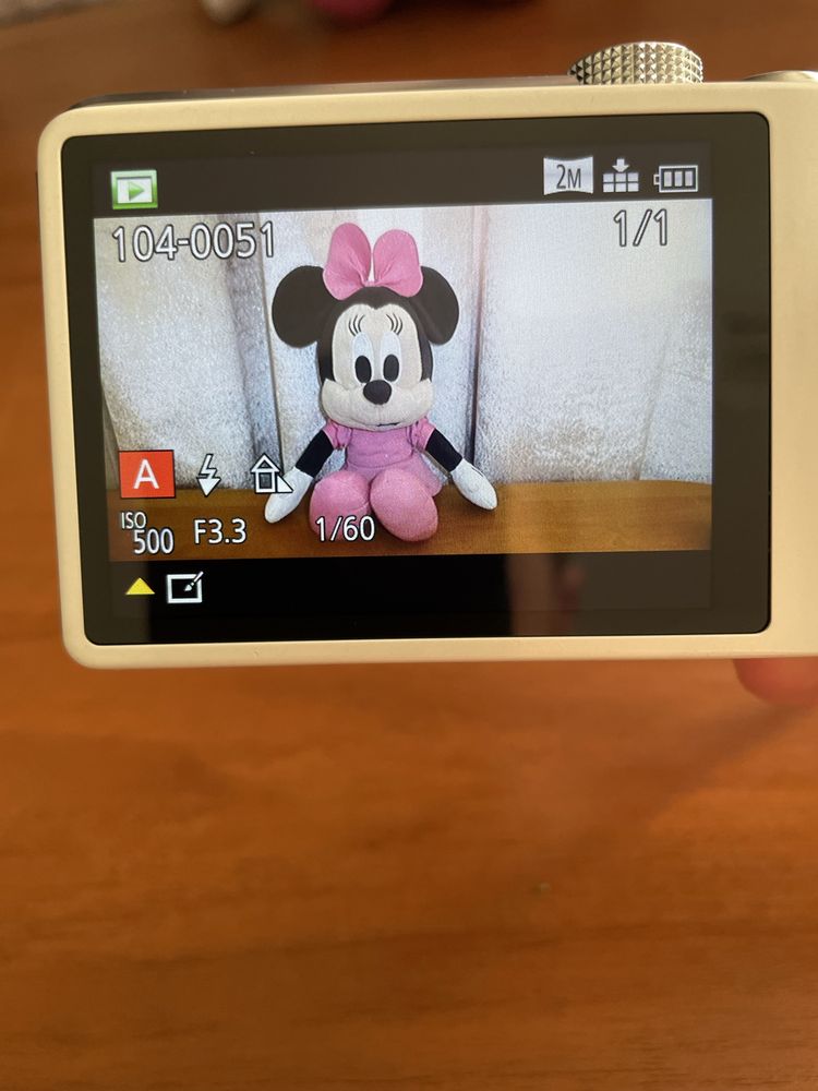 Panasonic Lumix DMC-TZ31