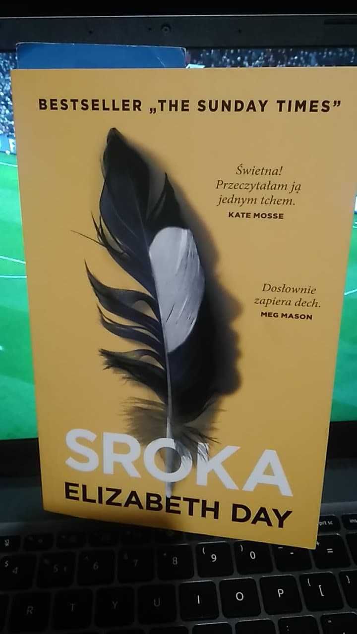 Elizabeth Day "Sroka" thriller