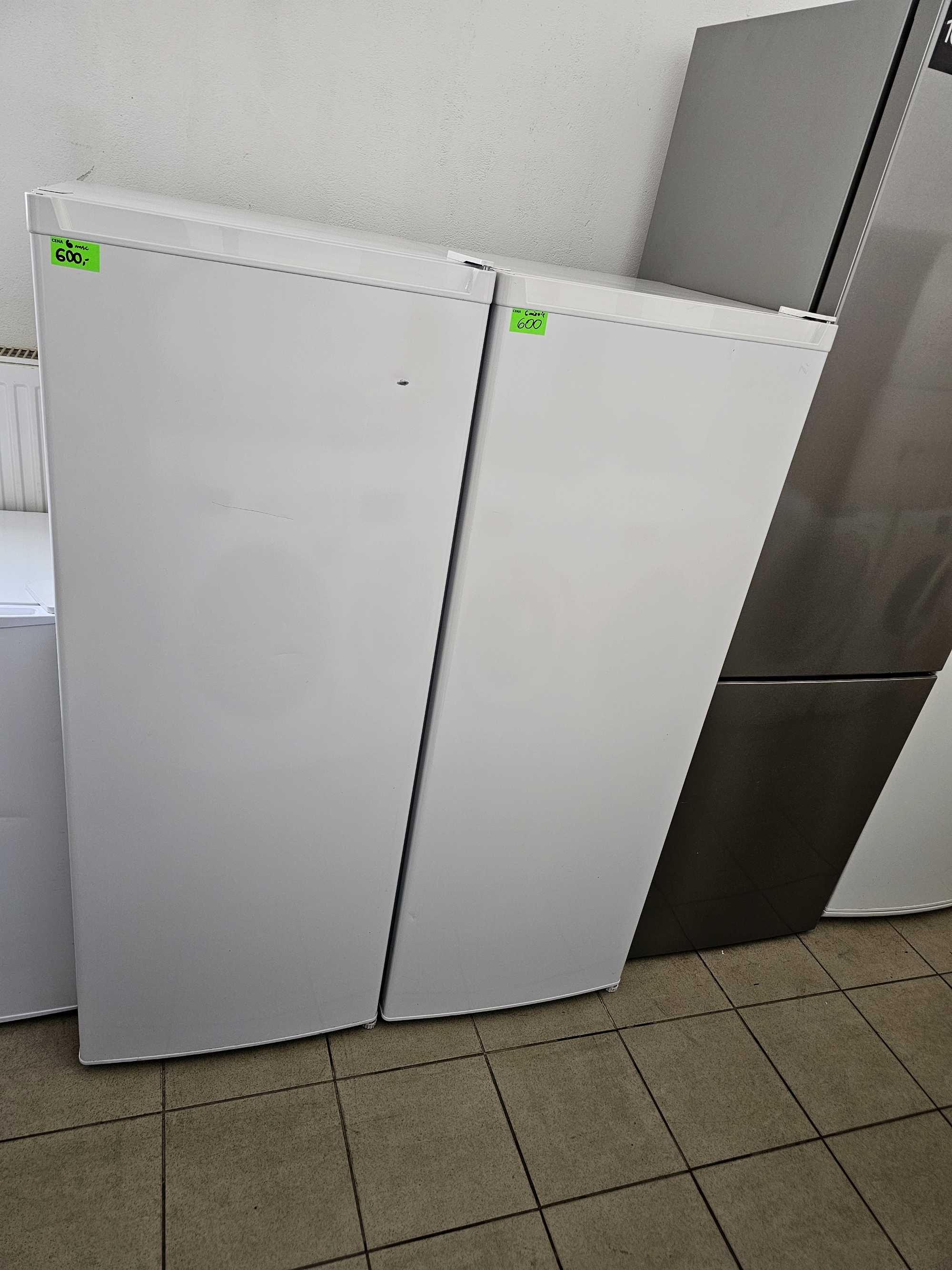 Chłodziarka wolnostojąca Proline PLF244LOG | Lodówka 142,6CM |  242L