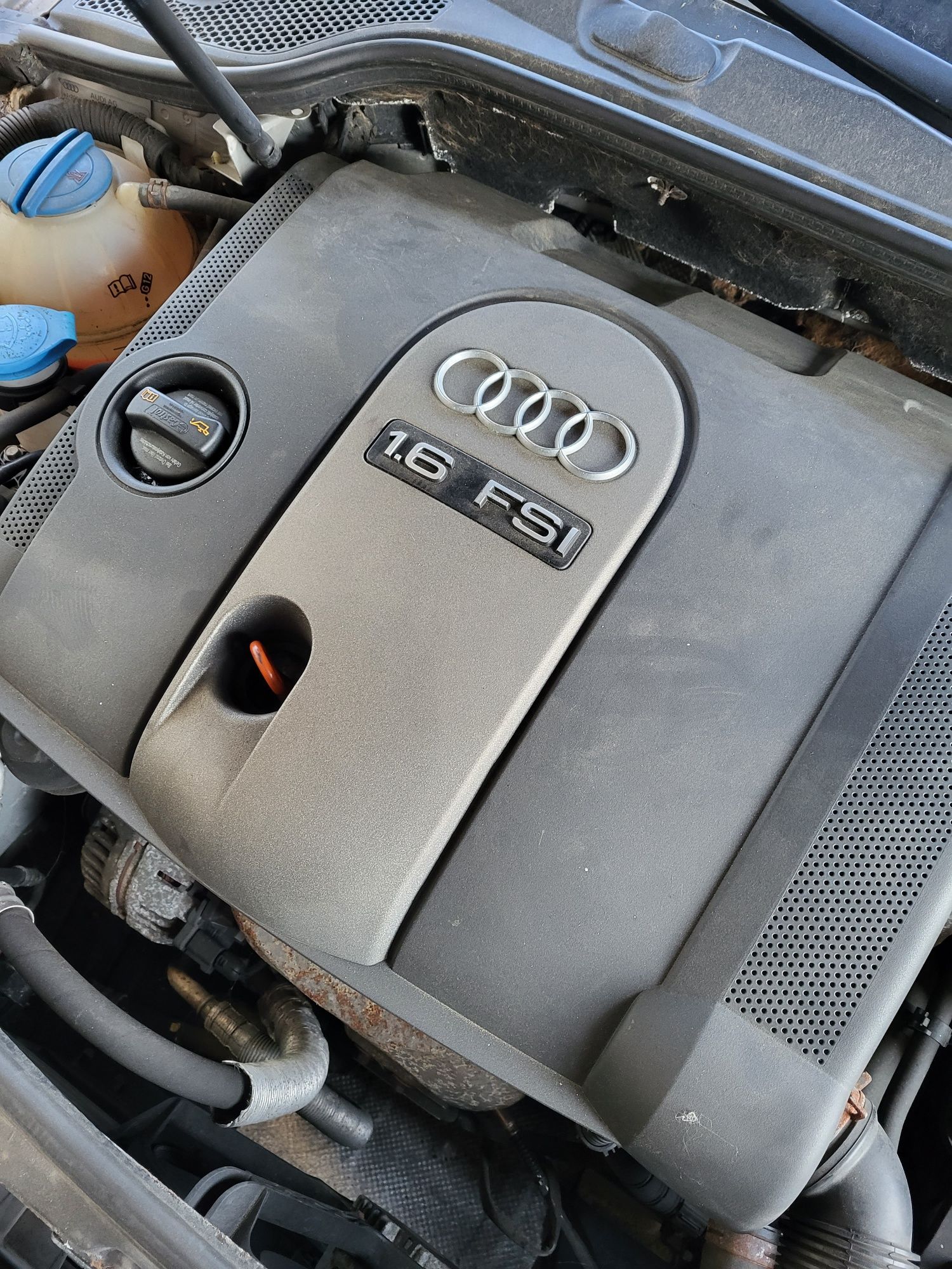 Audi a3 8p 3d 07r lakier lx7w 1.6fsi na części maska zderzak duży gril