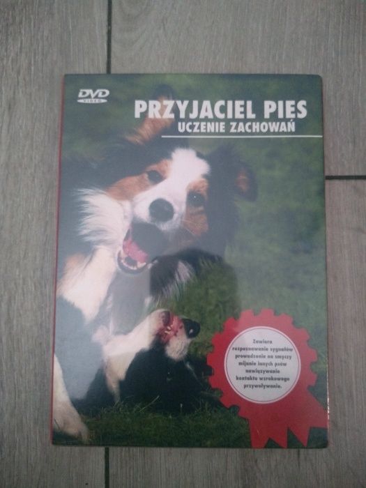 Przyjaciel pies - uczenie zachowań