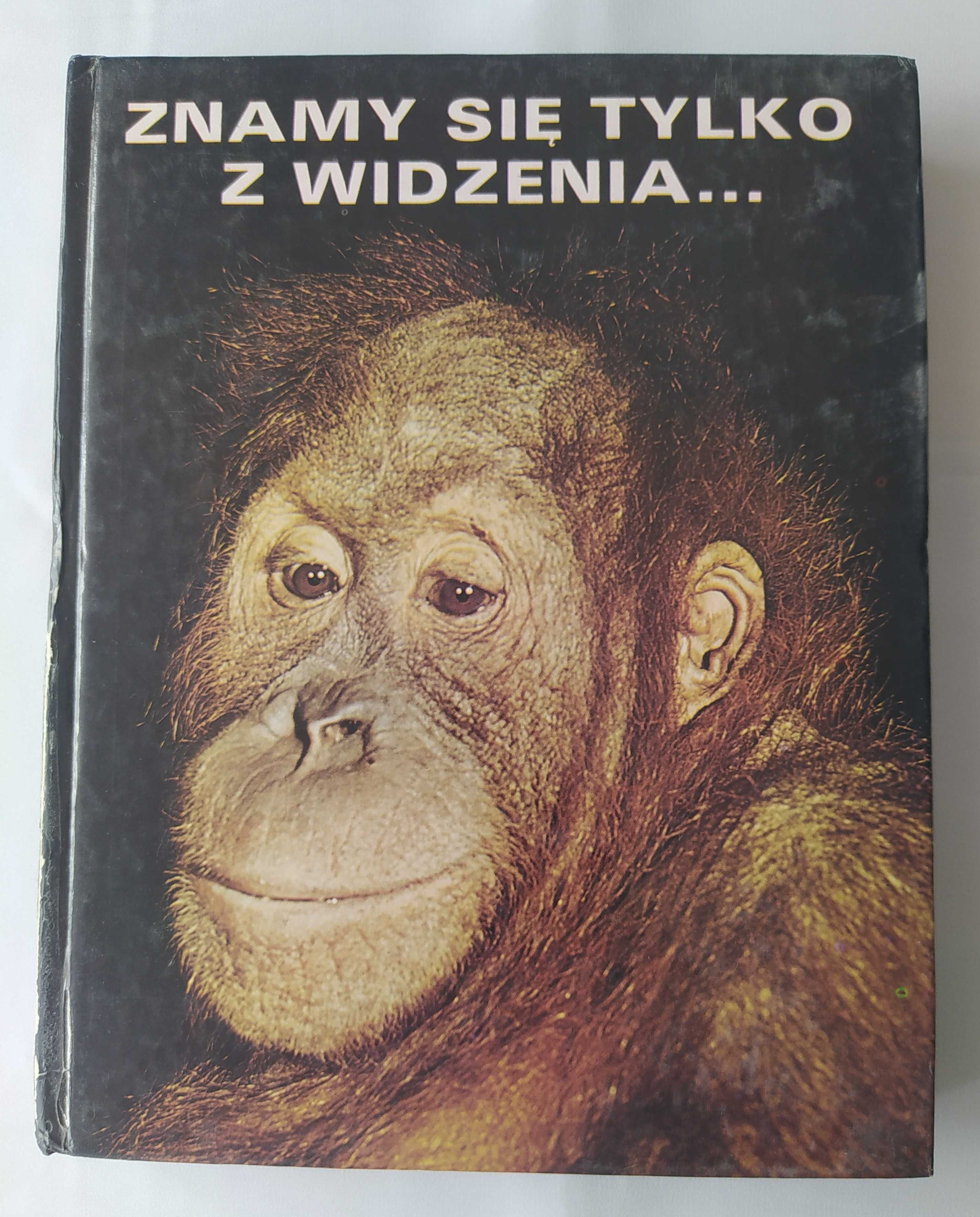 Znamy się tylko z widzenia – Zdeněk Veselovský