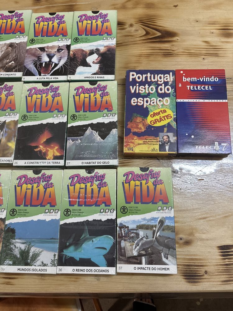 cacetes de video