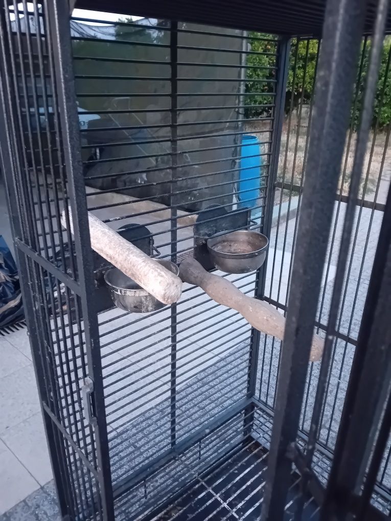 Gaiola como nova
