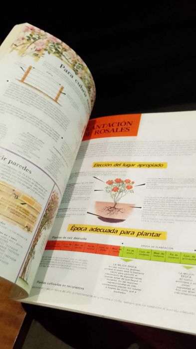 Rosas - Manual de cultivo y conservación - Dr. D. G. Hessayon