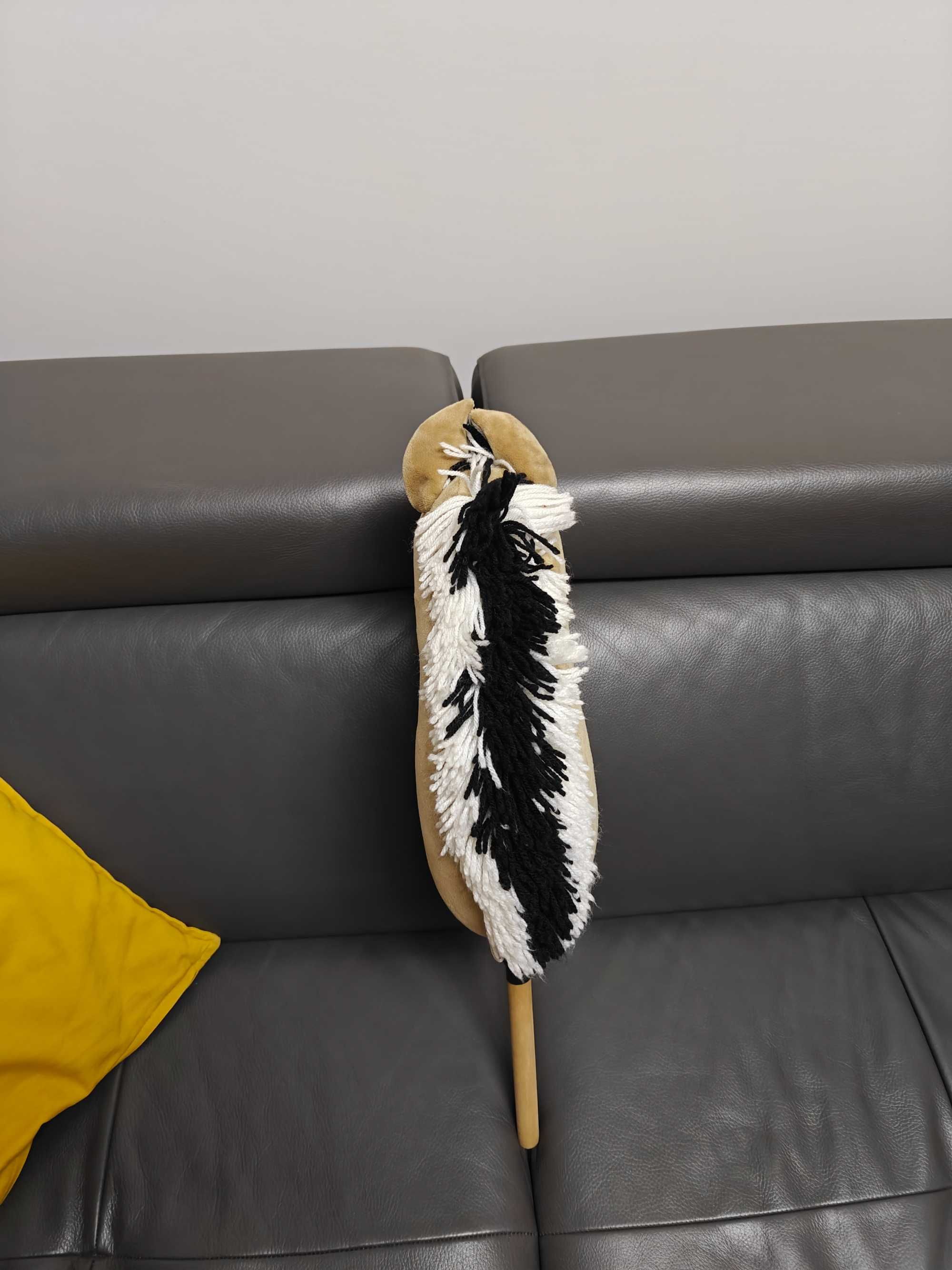 Hobby Horse Fiord + ogłowie
