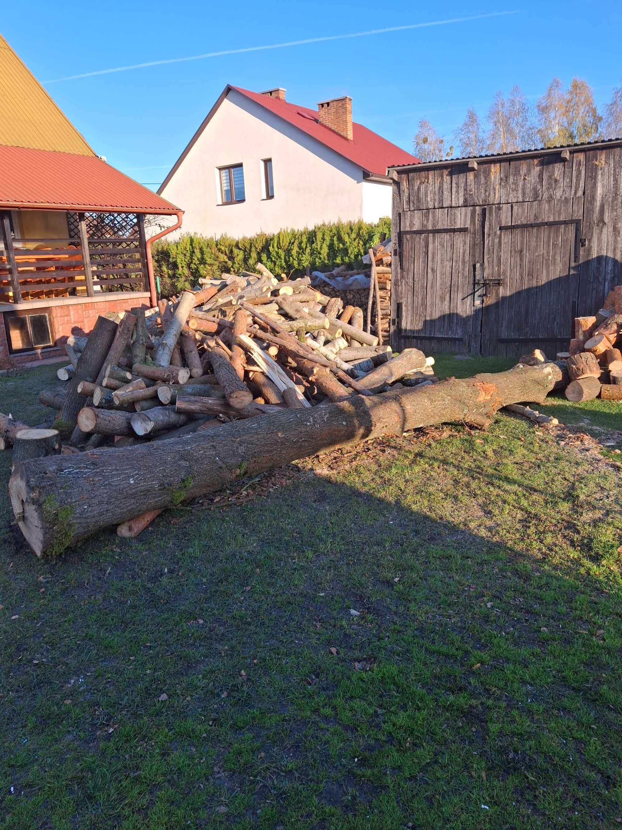 Sprzedam dwa zdrowe dęby o długościach 570 cm i 250 cm