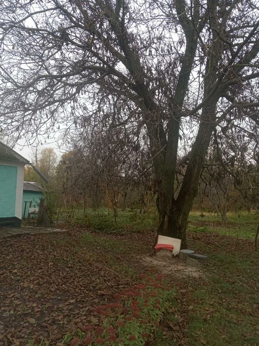 Продам хату з землею с.Тахтаулове