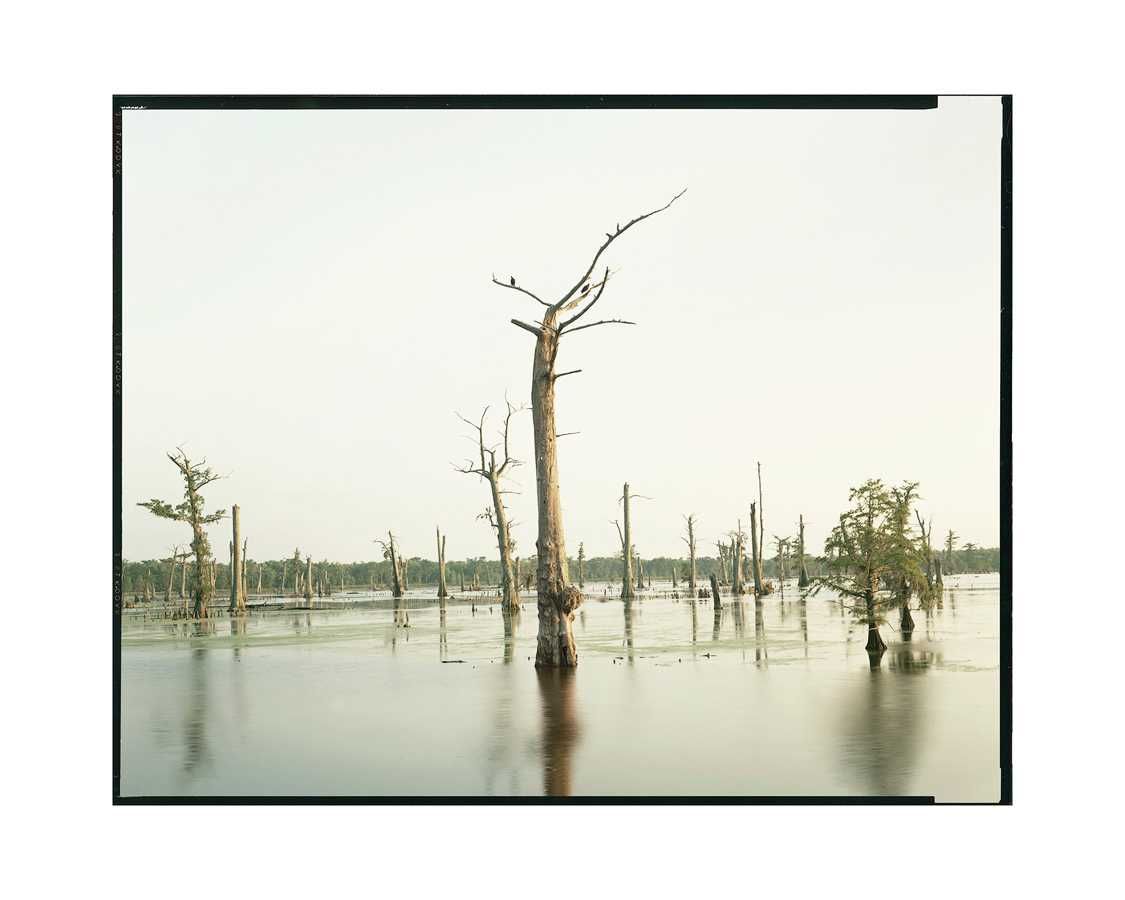 Книга Richard Misrach: Petrochemical America