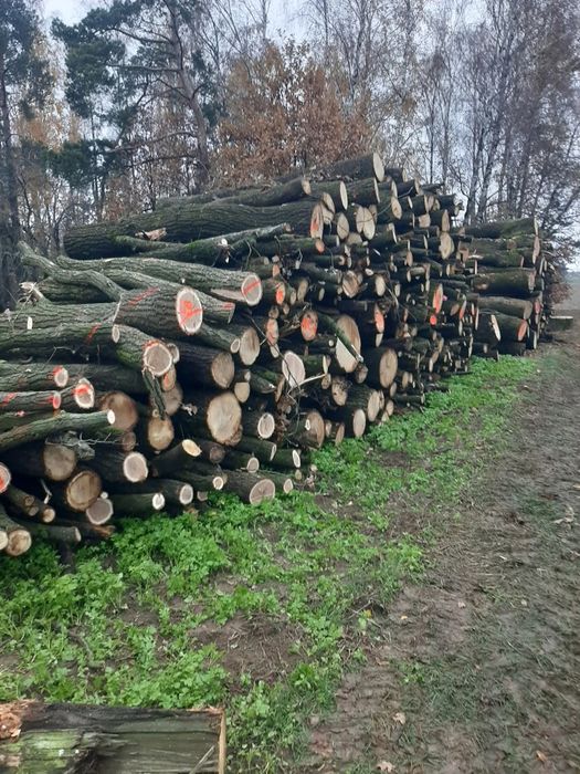 Drewno dąb olcha S2A s2b opał drzewo