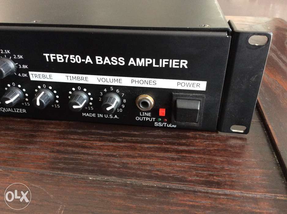 Thunderfunk TFB750 Bass Amplifier