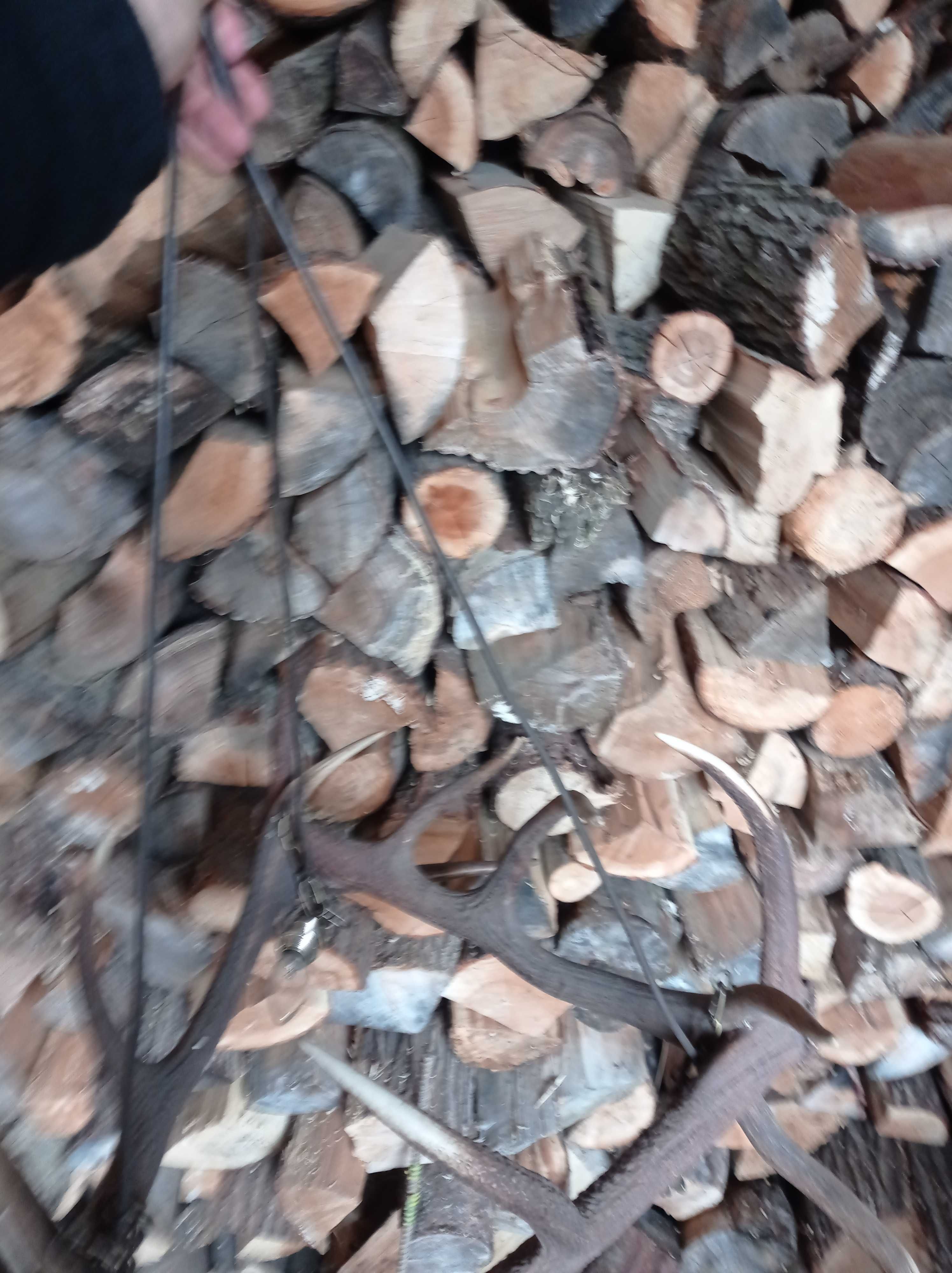 Żyrandol poroże rogi zrzuty lampa