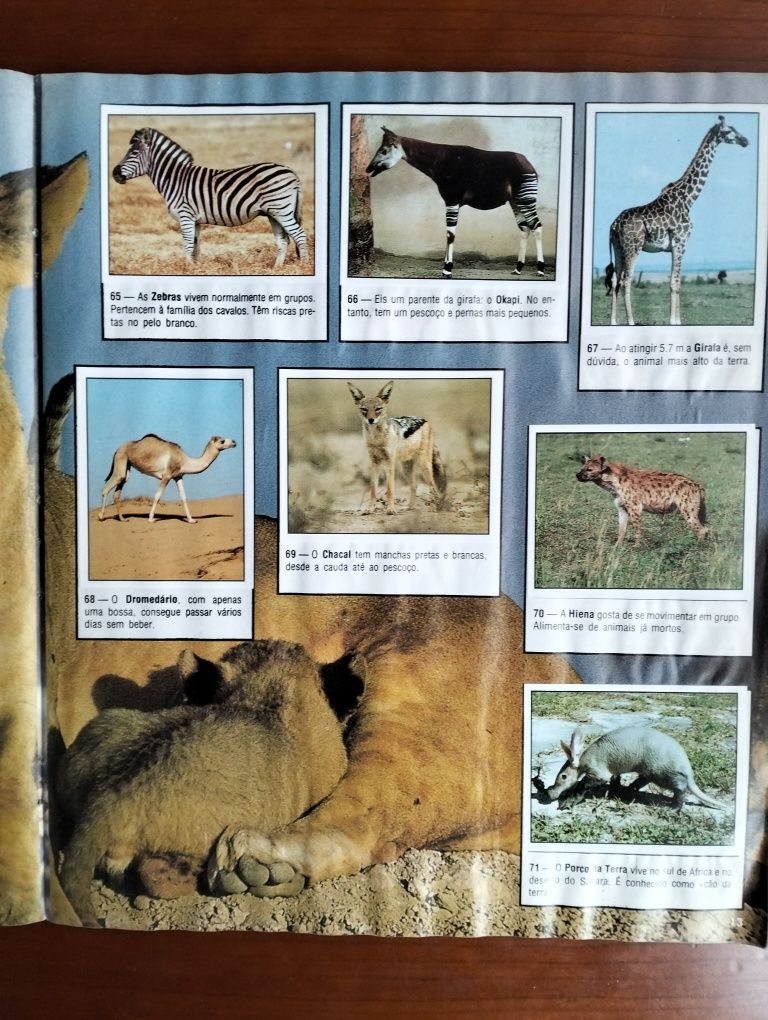Caderneta Animals of the World' Panini