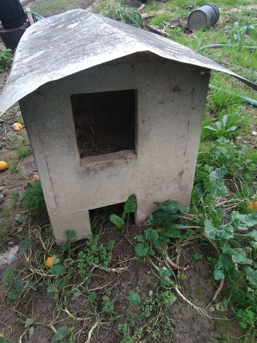 Casotas para cães