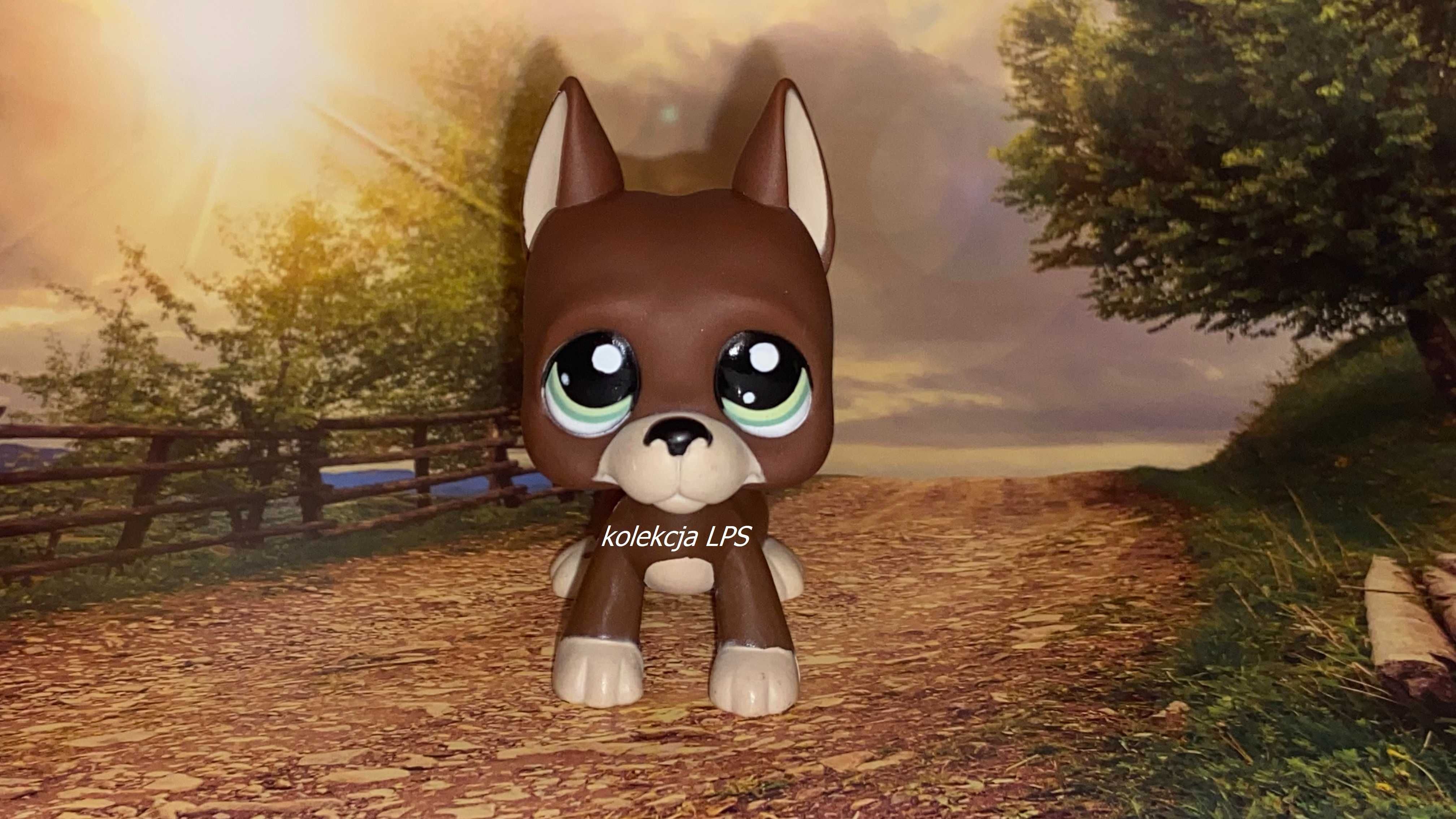 LPS Littlest Pet Shop DOG niemiecki #1519 oryginalny oryginał UNIKAT