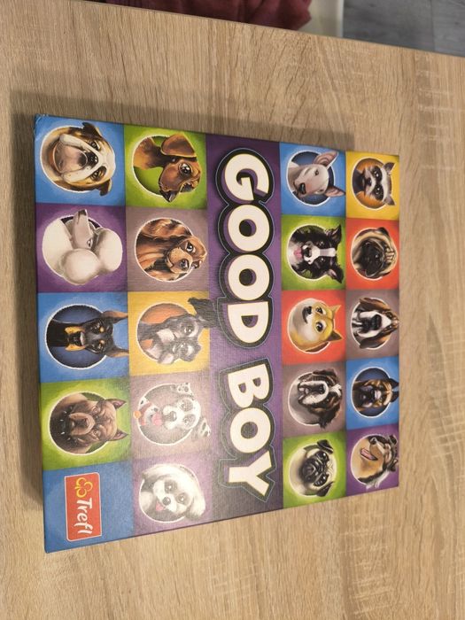 Gra dla dzieci Good boy