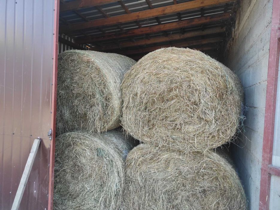 Sprzedam siano  2025