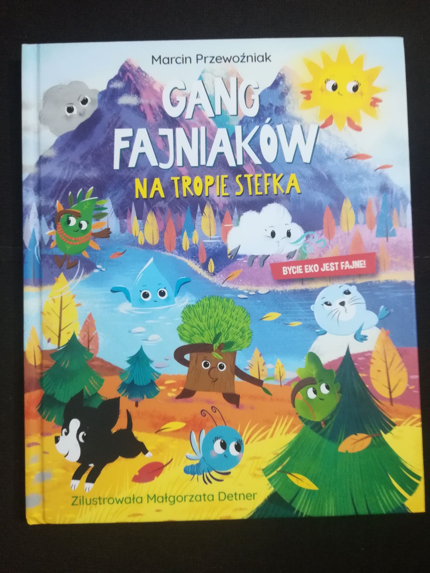 książka Gang Fajniaków biedronka