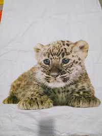 Комплект постельного белья 3-д рисунок леопарда