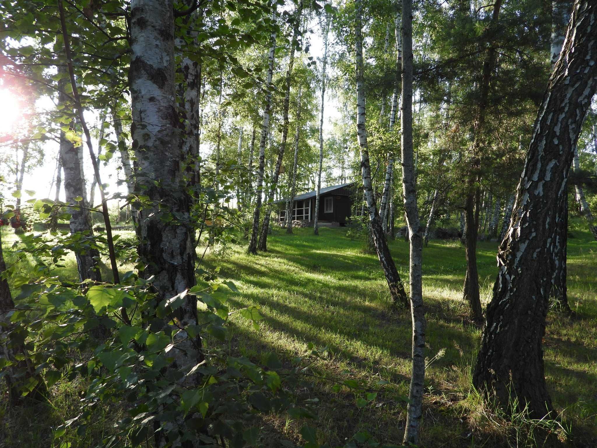 Wynajmę czteroosobowy domek letniskowy w miejscowości Lasotki