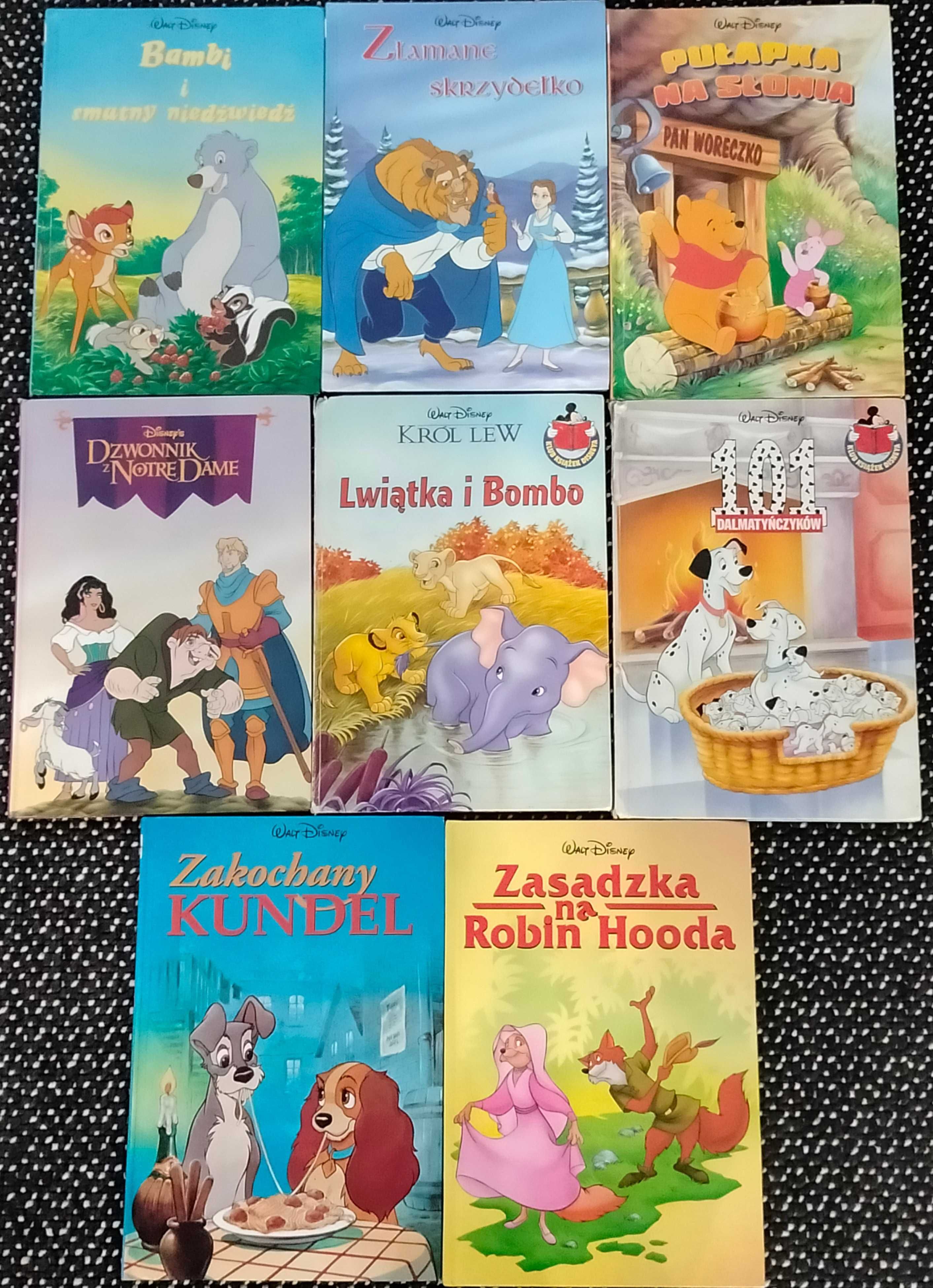 Disney kolekcja książek