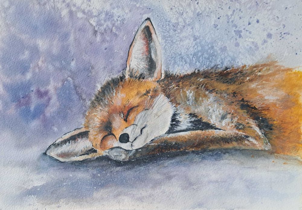 Gwasz obraz A4 Śpiący lisek