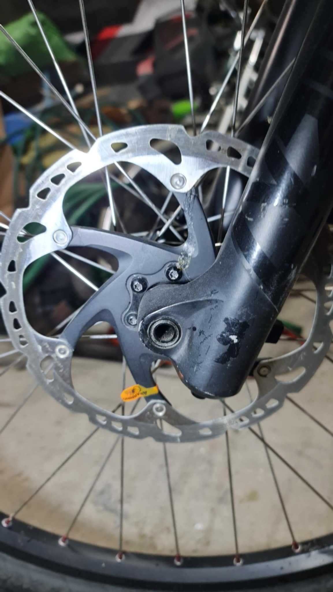 Dartmoor Hornet 2021 custom M
