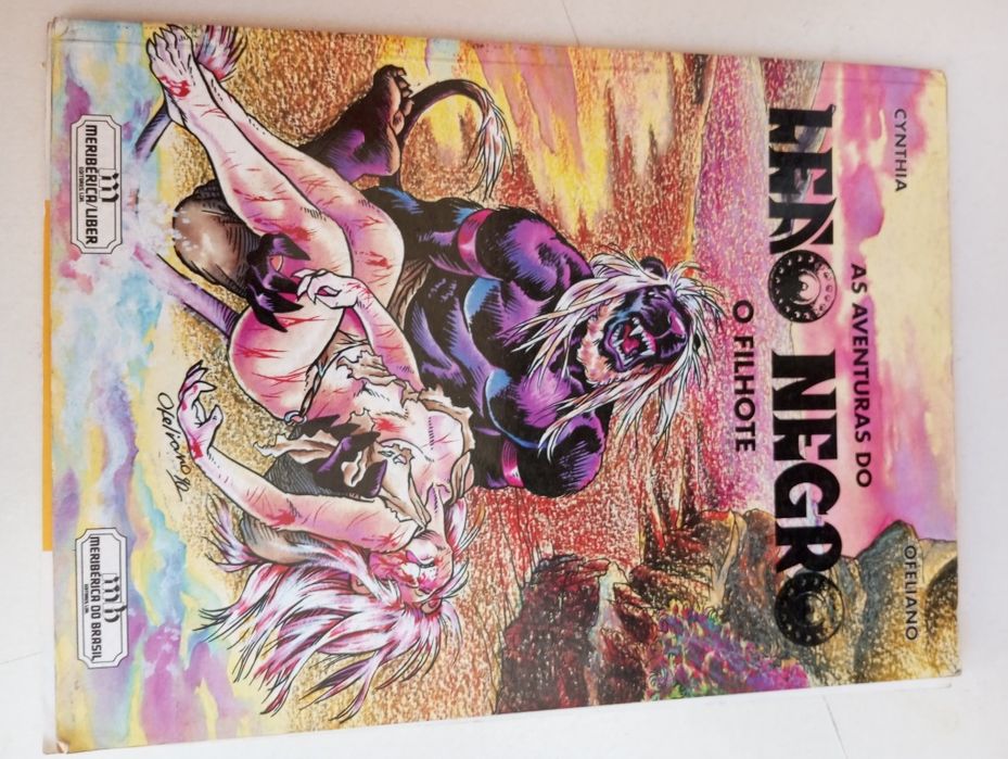 As aventuras do leão negro o filhote