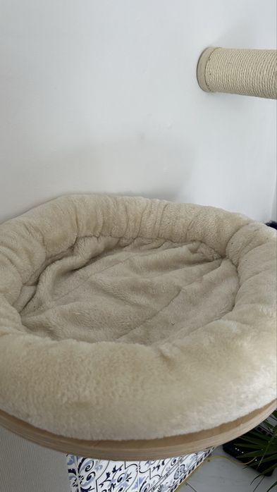 Arranhador para gatos Natural Paradise