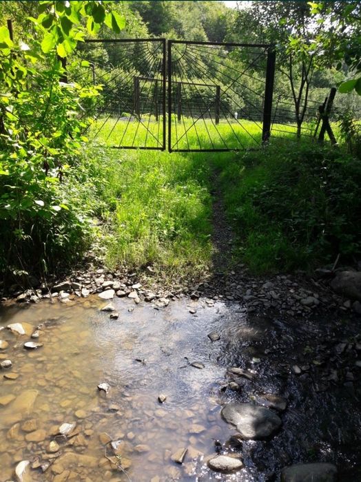 Ділянка в с.Оріховиця