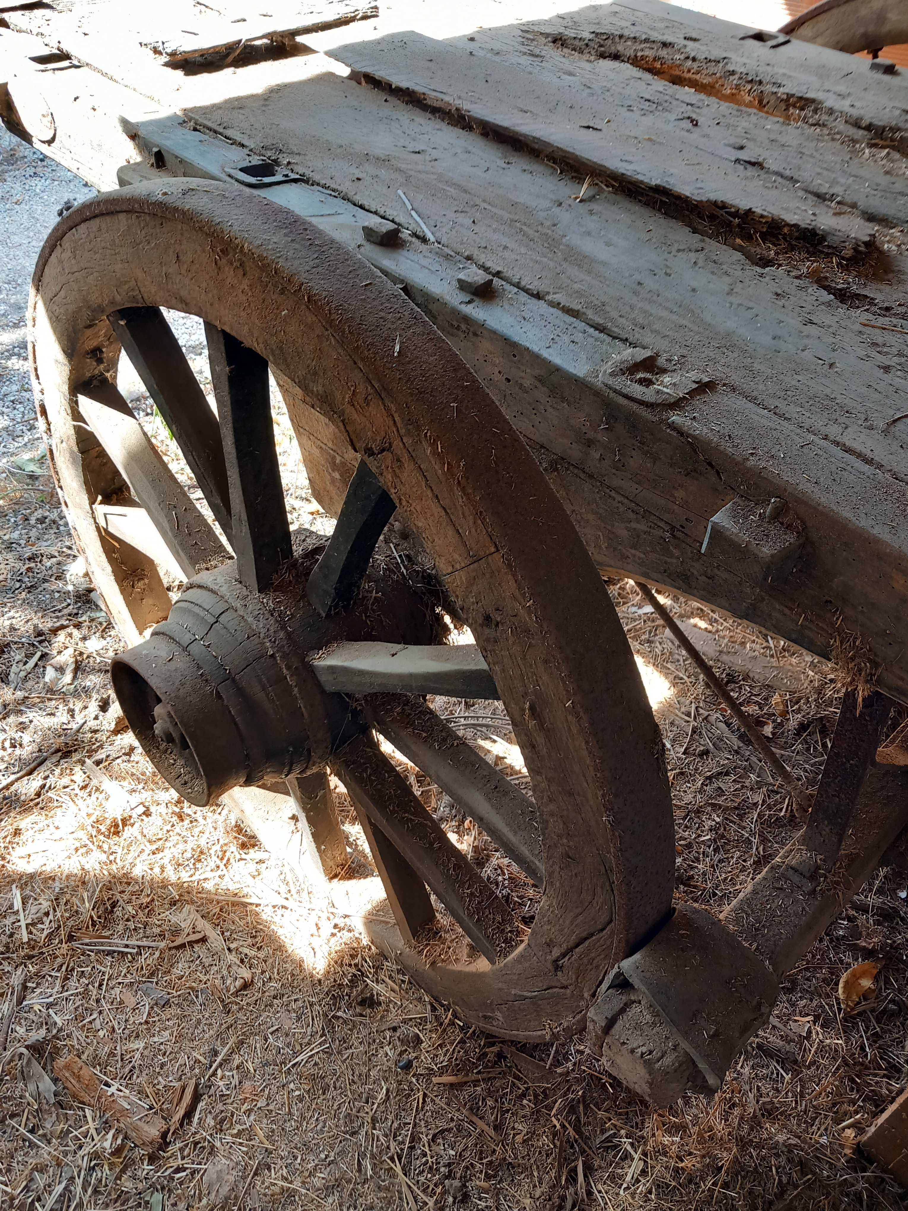 Rodas para Decoração Carro de Bois