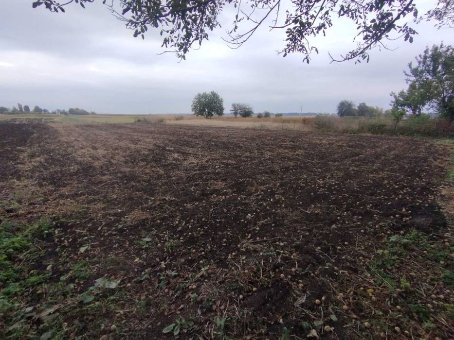 Будинок в Городище Пустоварівське