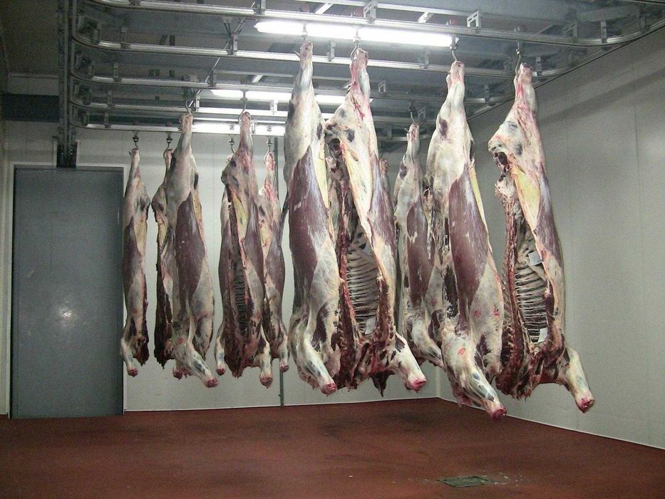 Промислова заморозка мяса, туш, кур, шокова морозилка до - 28С Вінниця