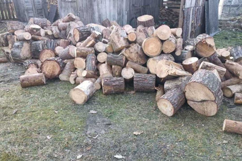 Opał grab dąb brzoza olszyna sosna