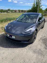 Tesla Model 3-2019