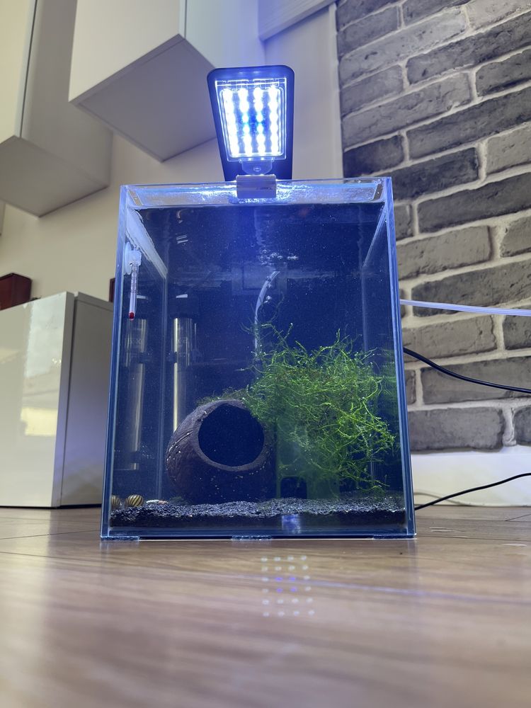Akwarium / krewetkarium 10L AquaEl