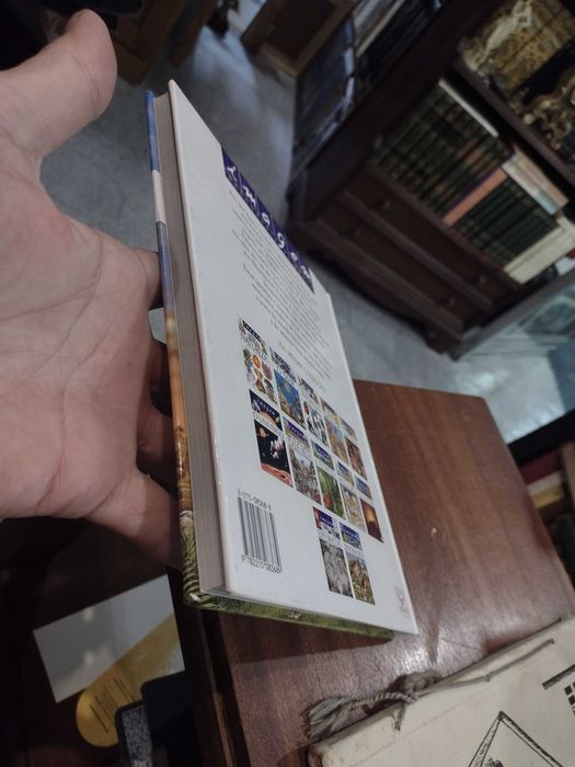 Dinossauros e Animais Desaparecidos - Laure Cambournac