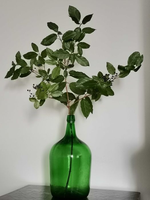 Garrafão/Vaso decorativo em vidro