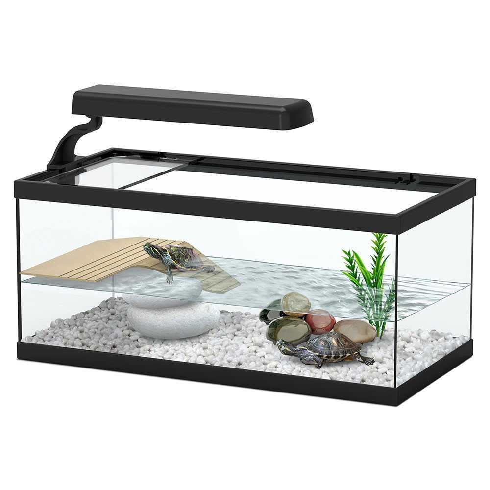 Pack Terrário + 2T + comida