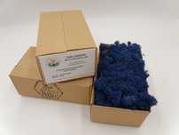 Mech chrobotek reniferowy 100g azure blue