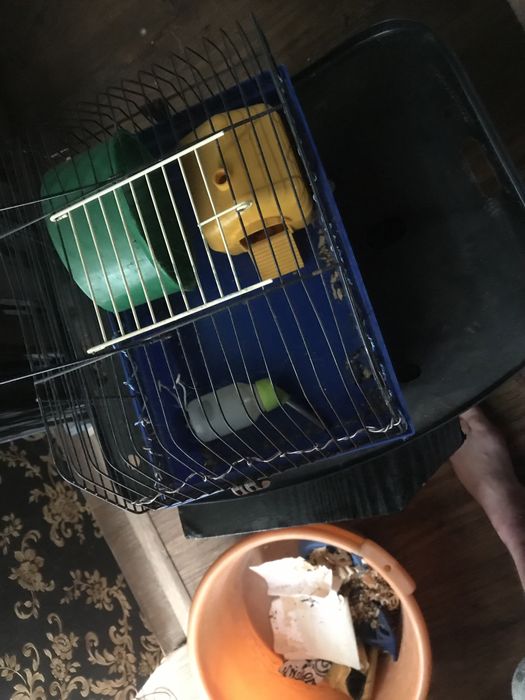 Клетка для хомяка