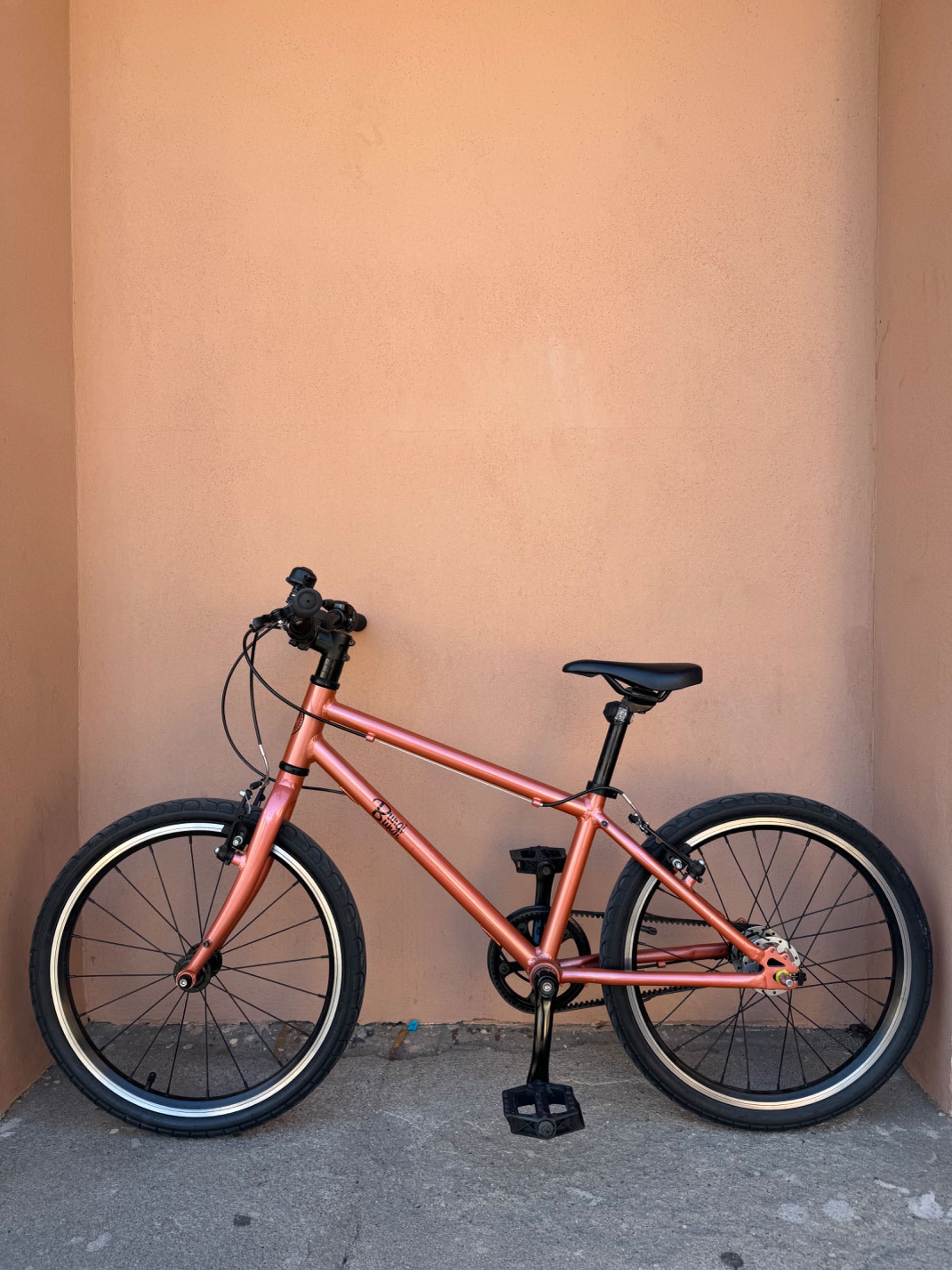 Rower Bungi Bungi 20" strawberry red
