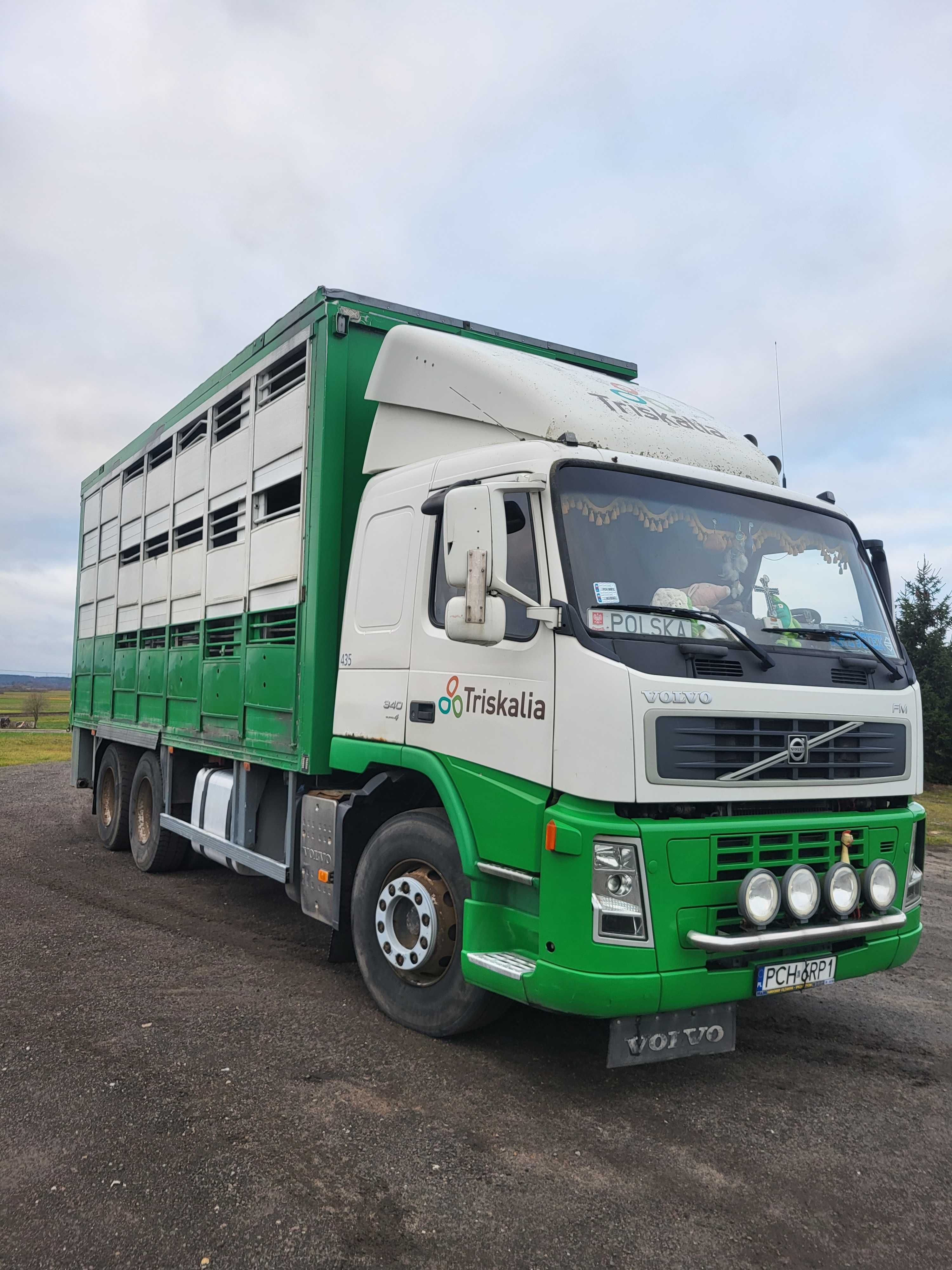 Volvo FM do żywca zwierząt