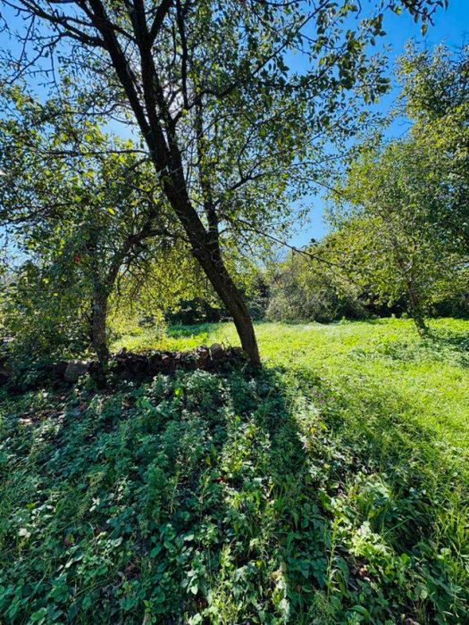 Продаж будинку, с.Полоничі, 55 м.кв., 10 сот., БЕЗ КОМІСІЇ ДЛЯ ПОКУПЦЯ