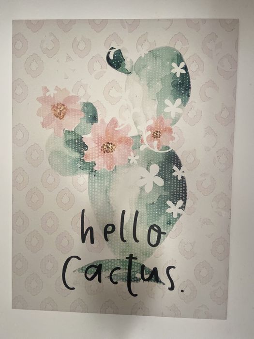 Varias molduras decoracao