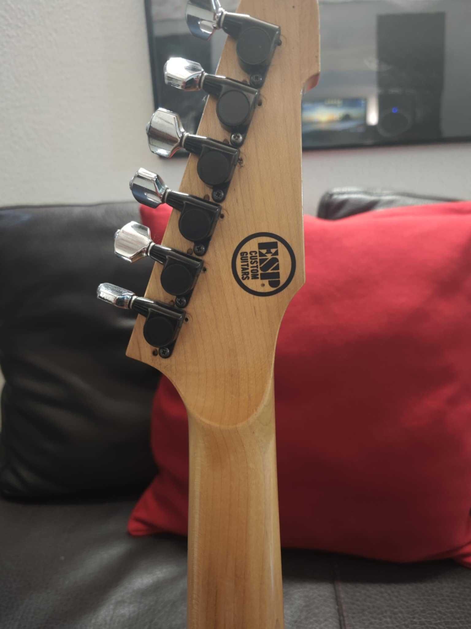 ESP XJ-6 / Vintage plus Custom Shop Japan