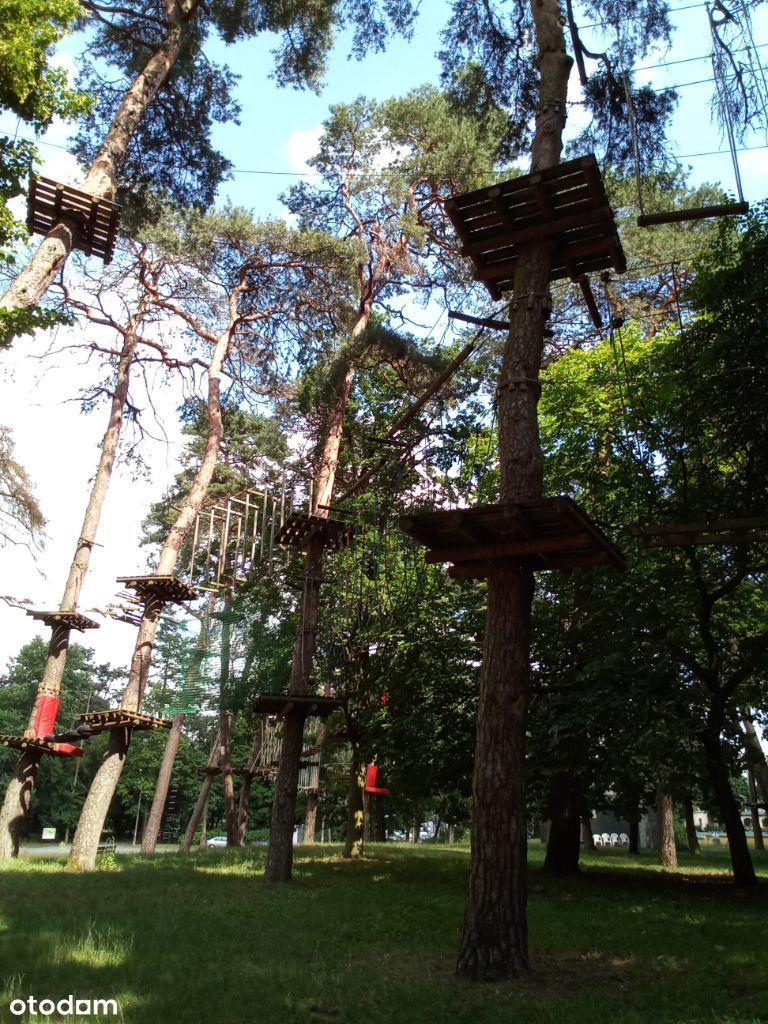 Park Linowy Gorzów Wlkp.